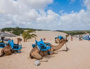 Pacote Natal – 2024