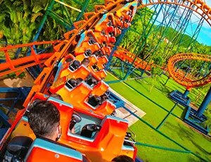 Pacote Beto Carrero World – 2024