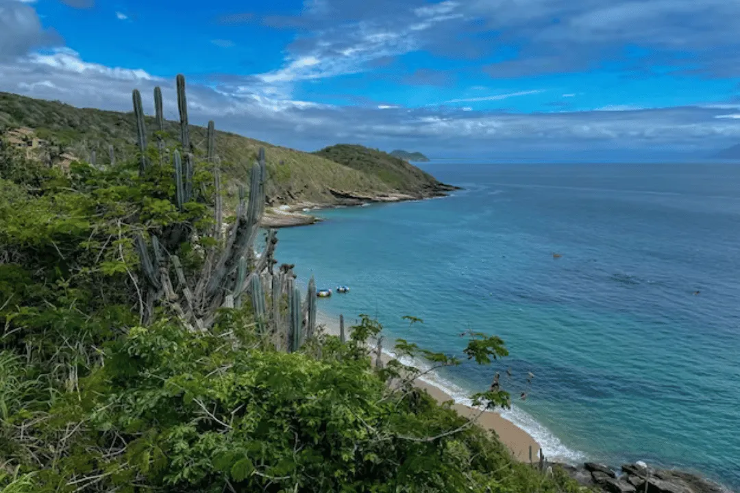Tour Terra e Mar
